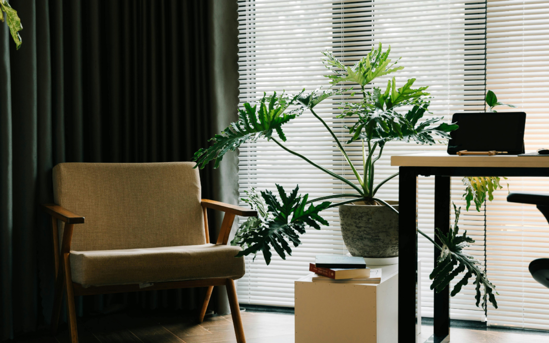 The Perfect Pairing: Choosing the Right Blinds to Complement Your Floors
