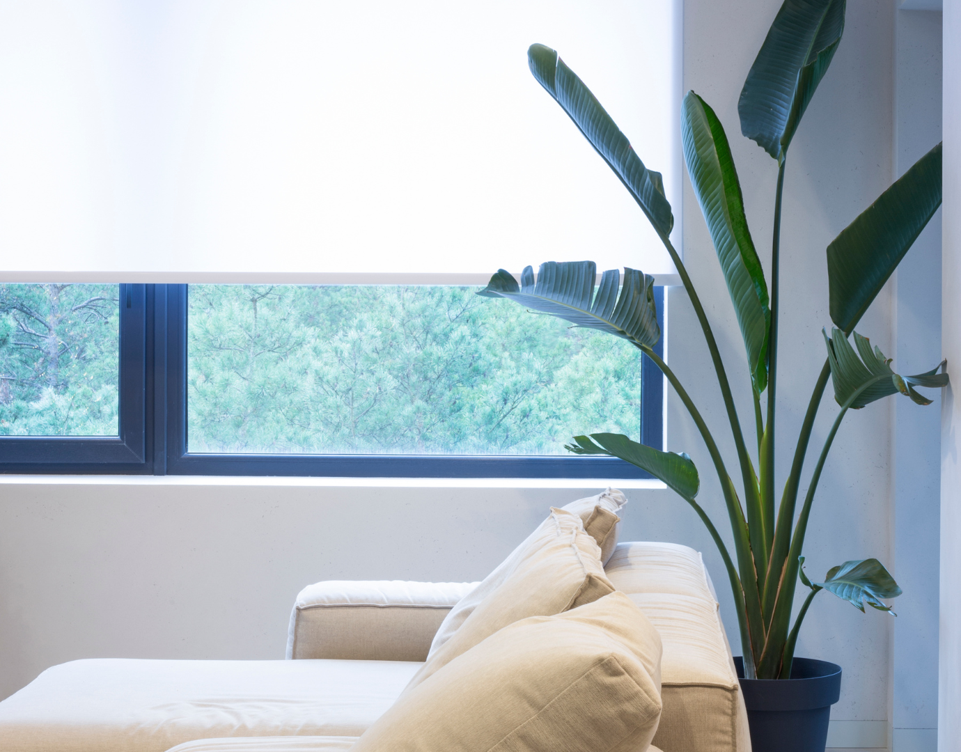 The Perfect Pairing_ Choosing the Right Blinds to Complement Your Floors (3)