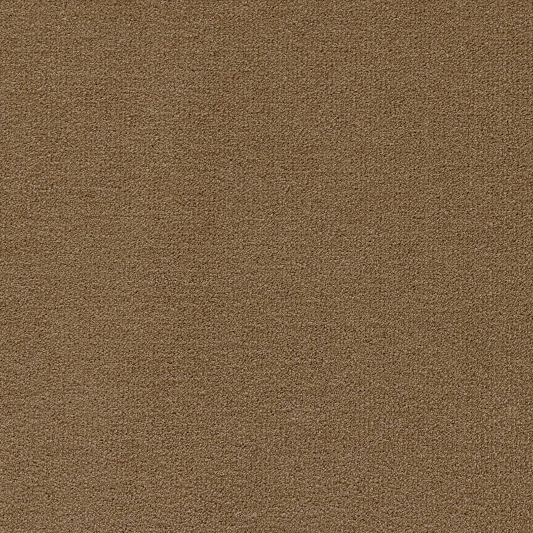 Arabica - Image 2