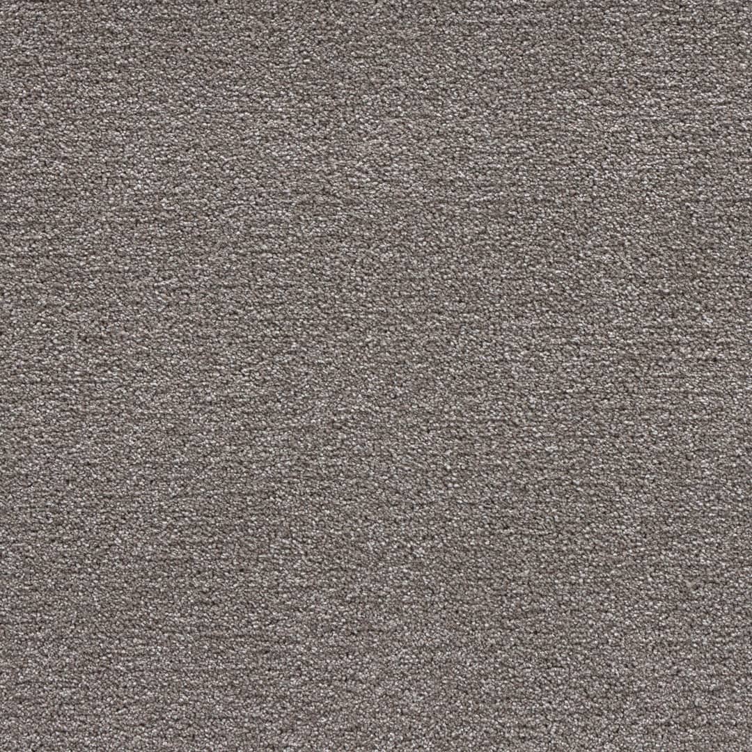 Arabica - Image 10