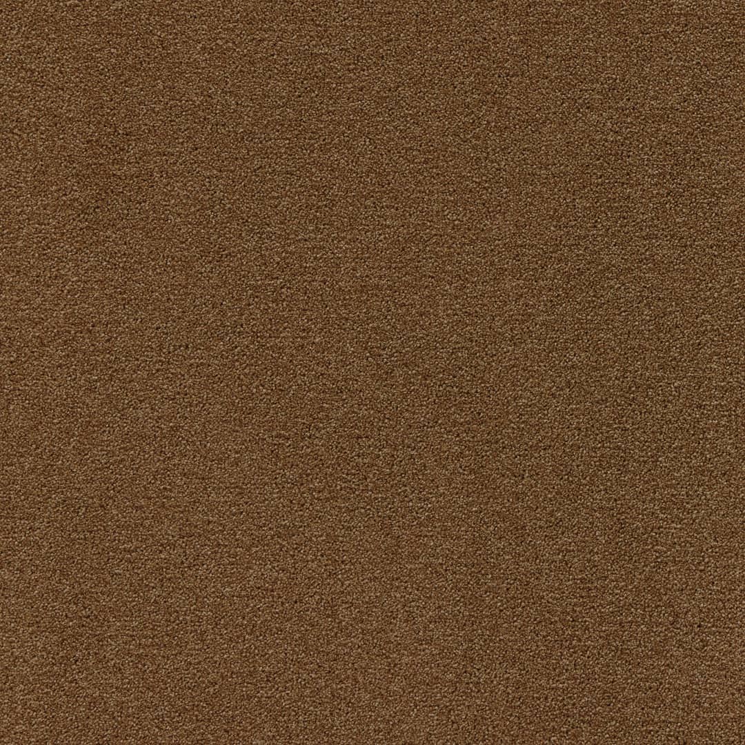 Arabica - Image 9