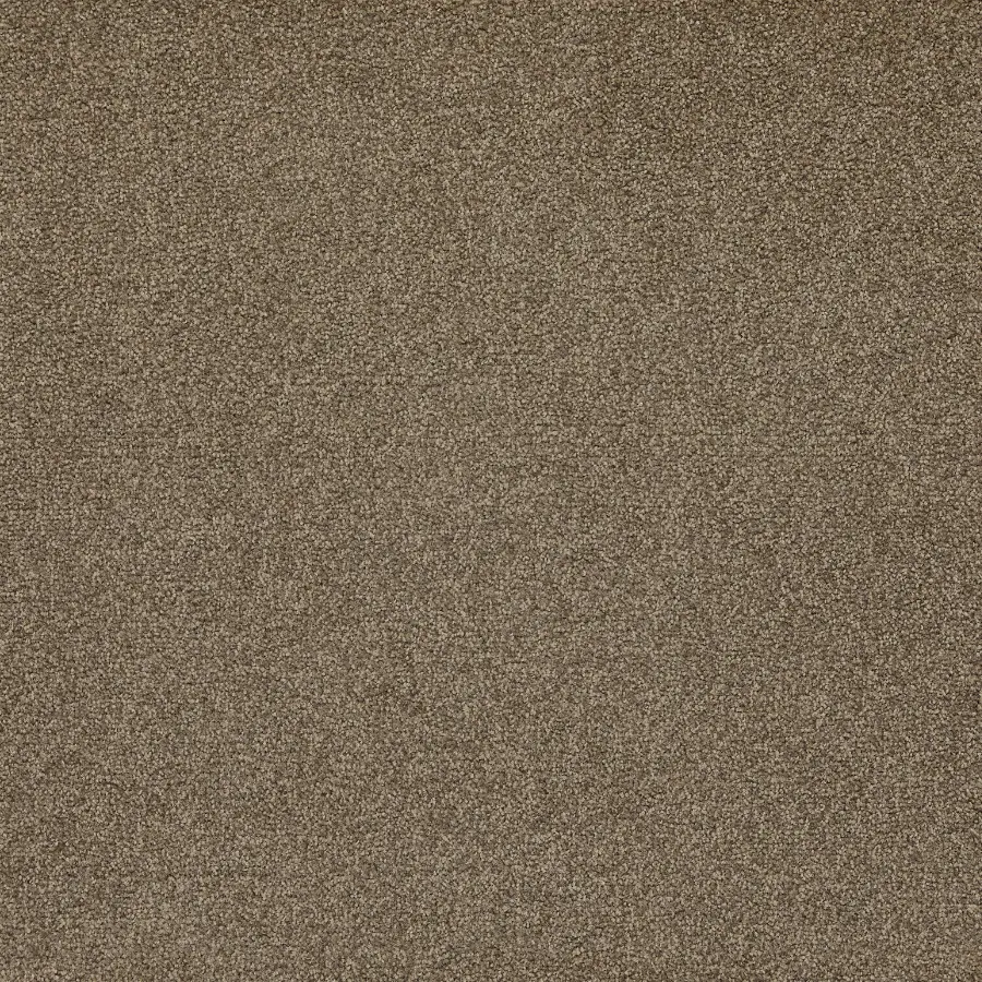 Softology Ultra - Image 5