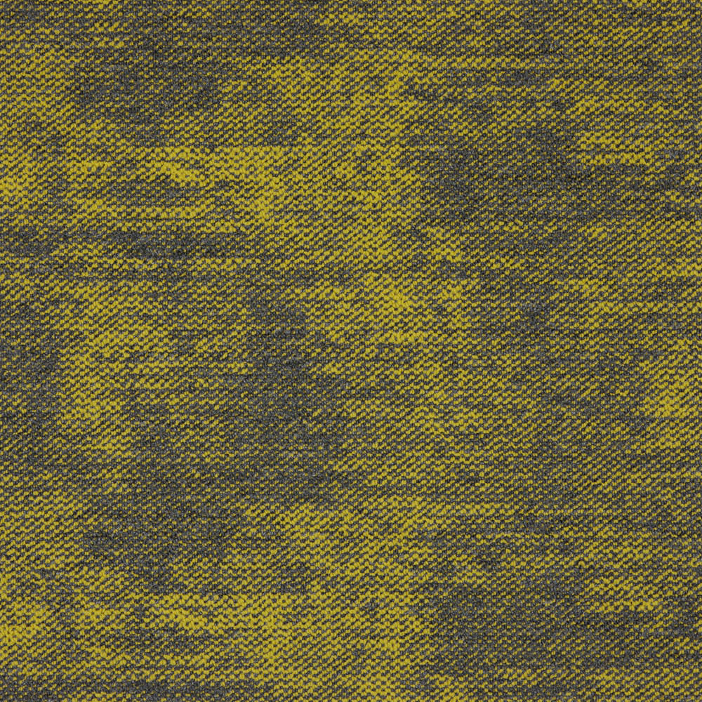 Accelerate - Pivot - Image 5