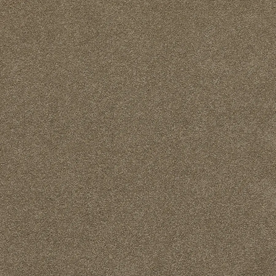 Softology Ultra - Image 4