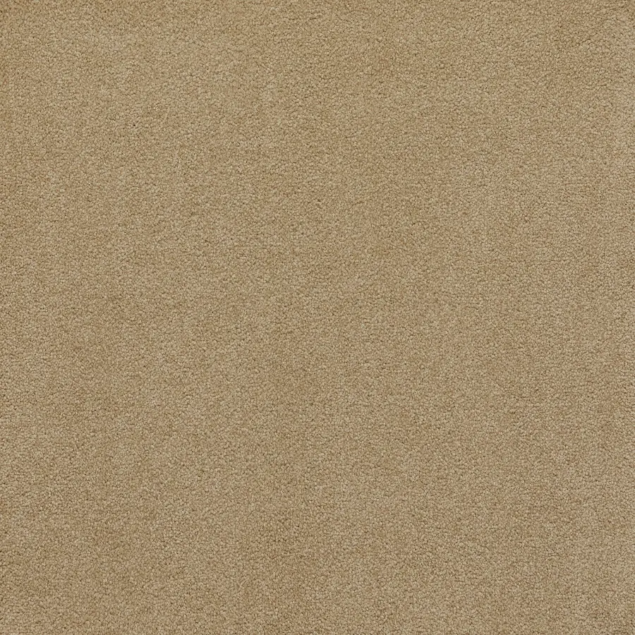 Softology Ultra - Image 3
