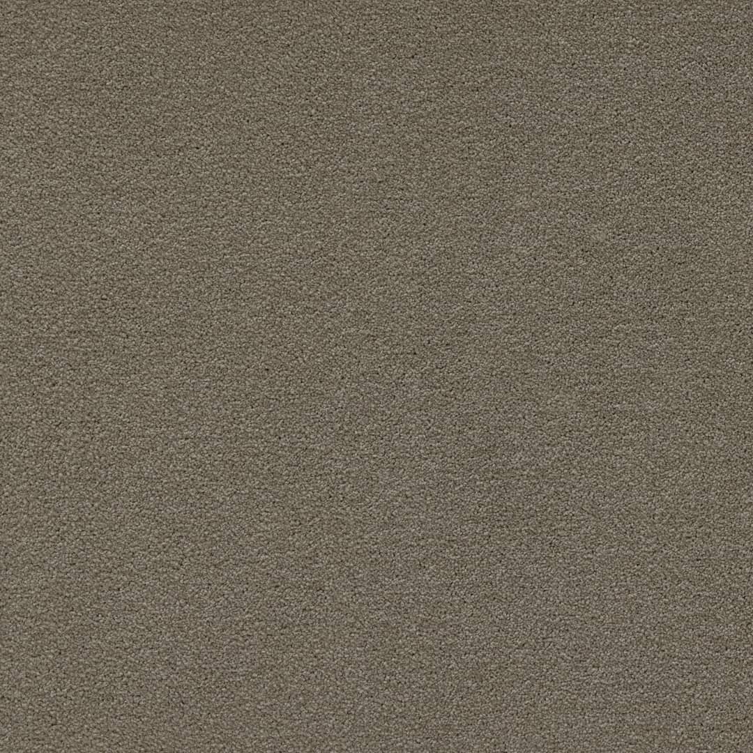 Arabica - Image 8