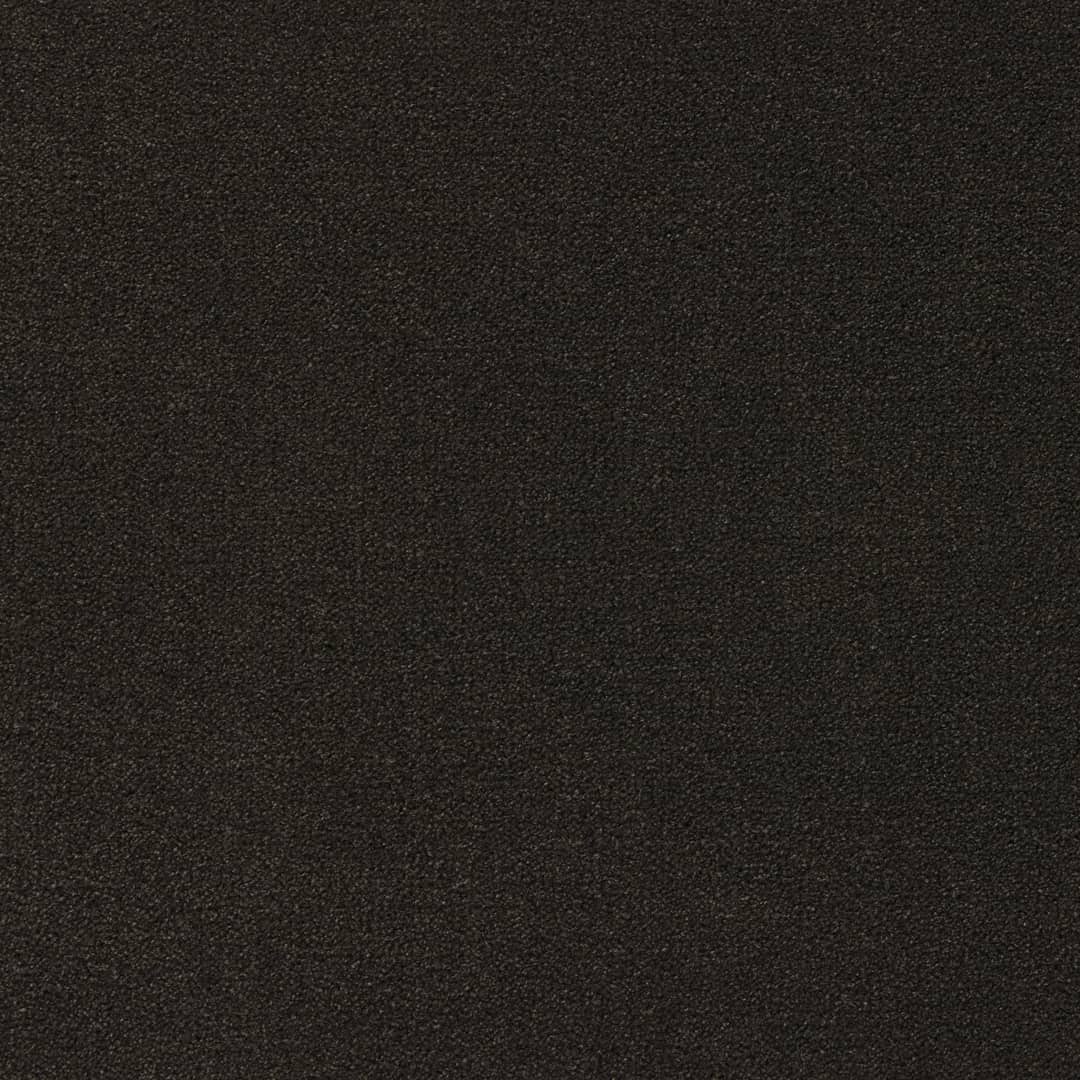 Arabica - Image 7