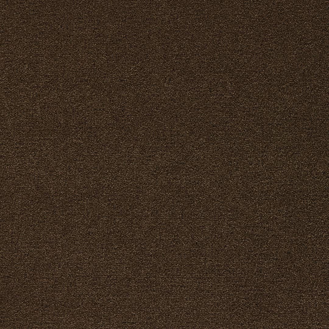 Arabica - Image 6