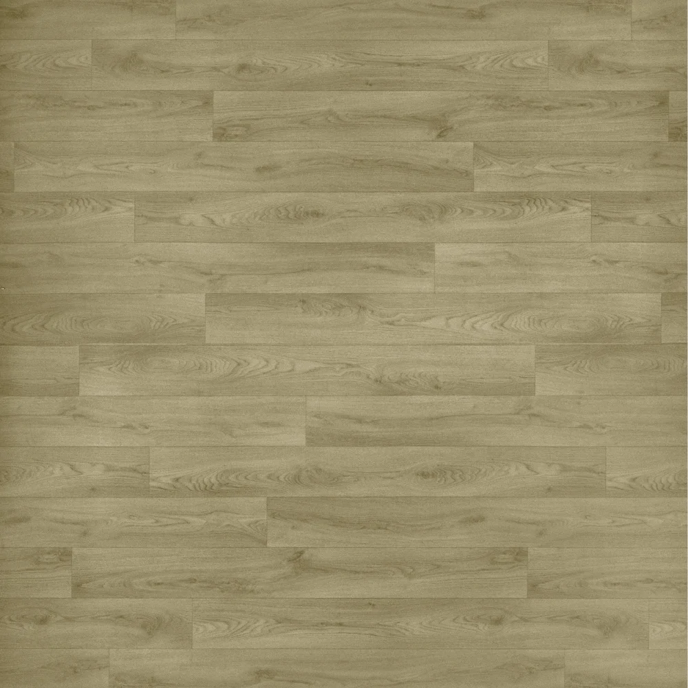 Centra 70 - Image 2