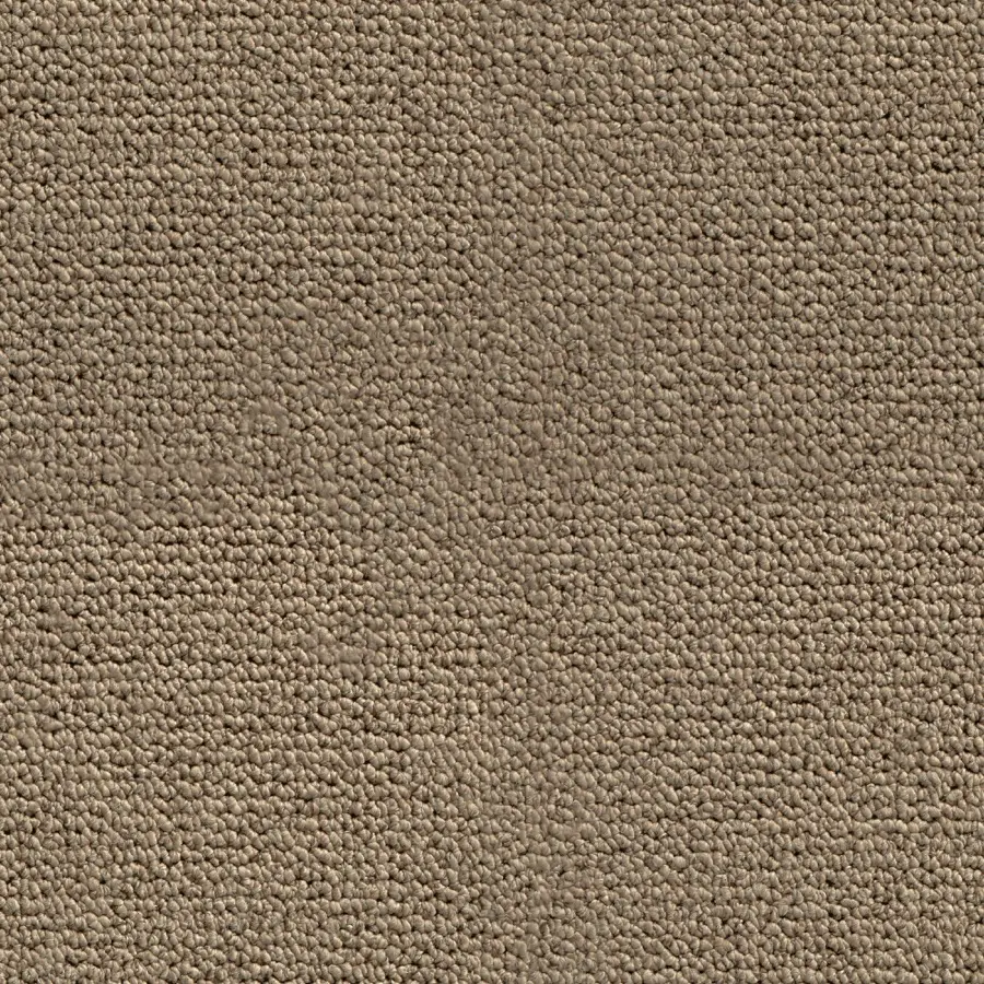 Merino - Image 3