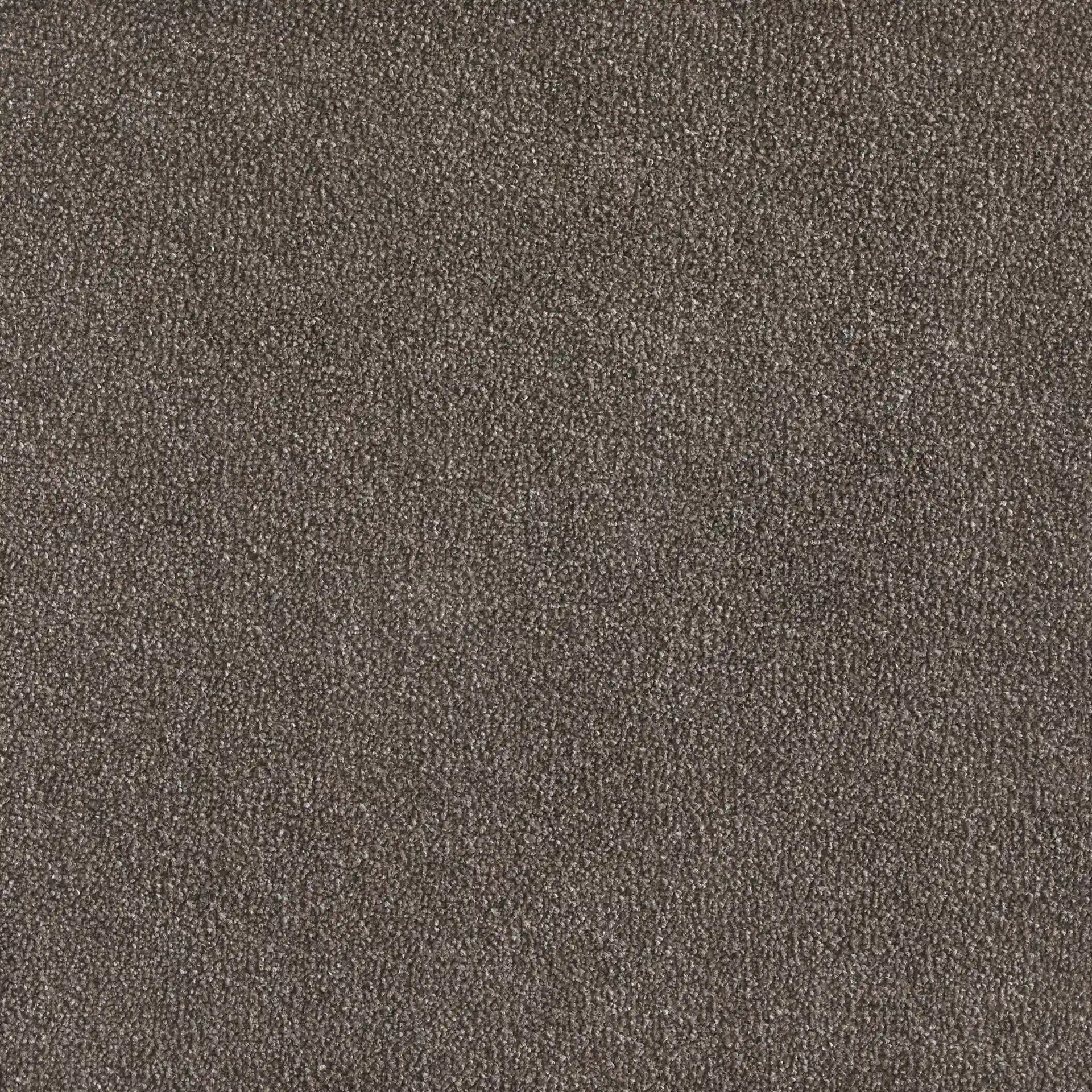 Softology Lite - Image 6