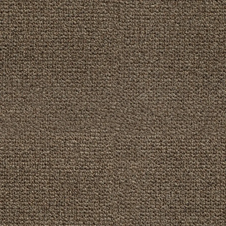 Merino - Image 4