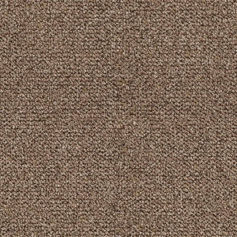Merino - Image 5