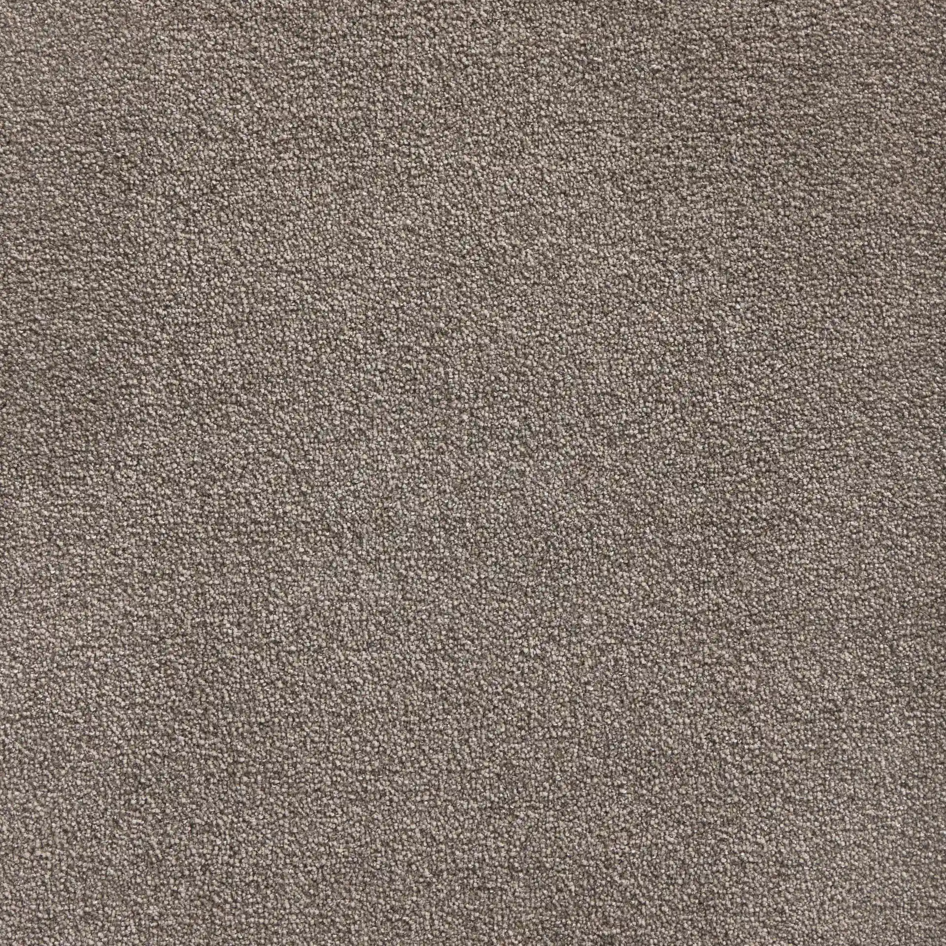Softology Lite - Image 5