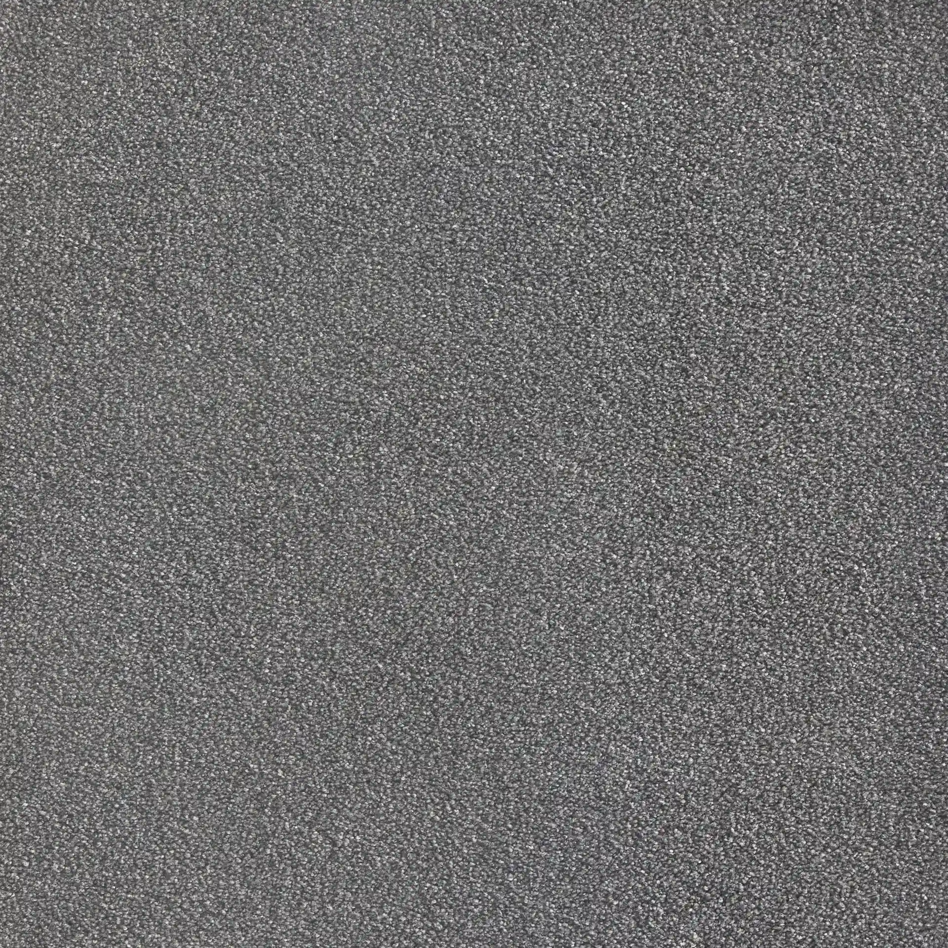 Softology Lite - Image 4