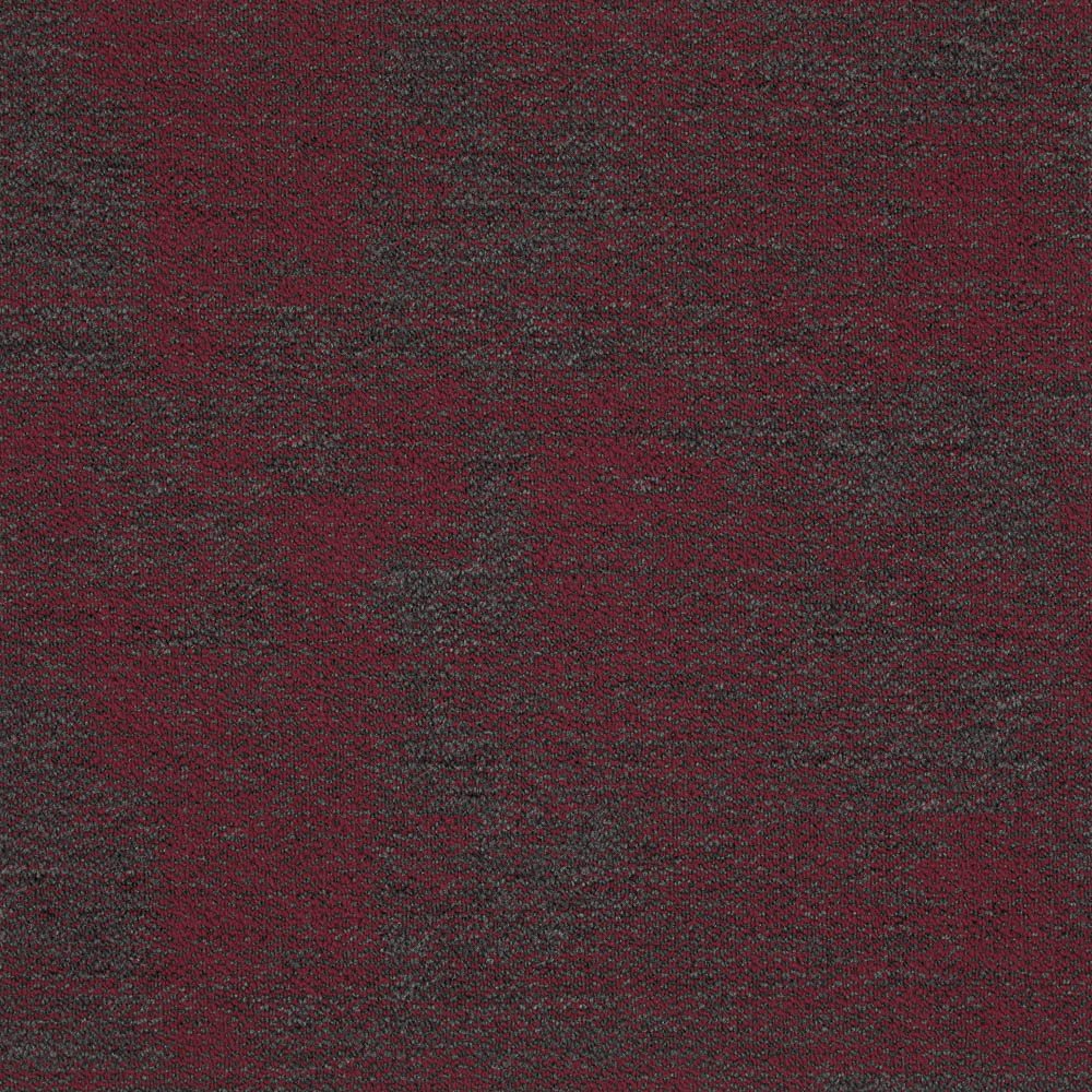 Accelerate - Pivot - Image 10
