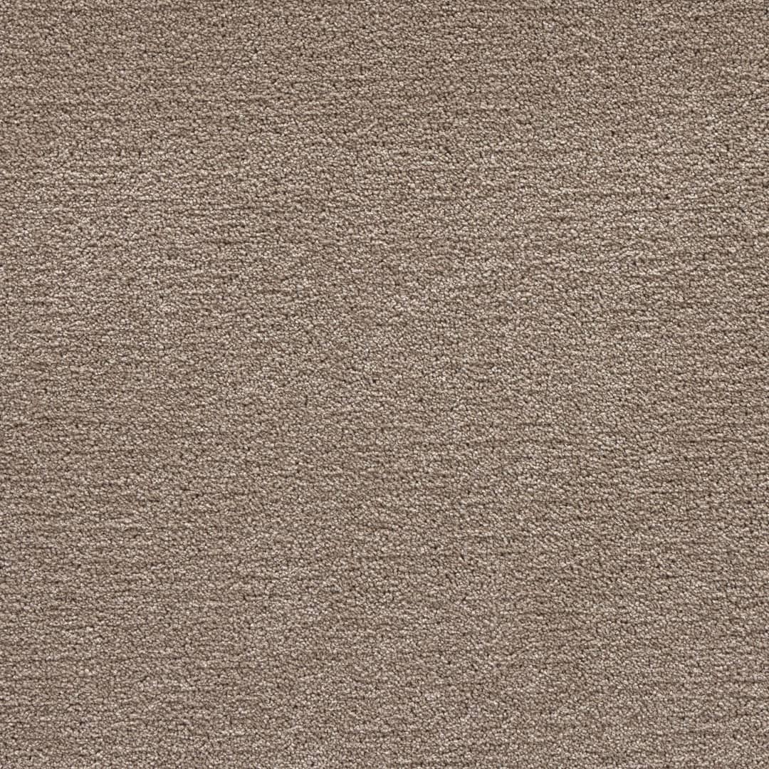 Arabica - Image 5