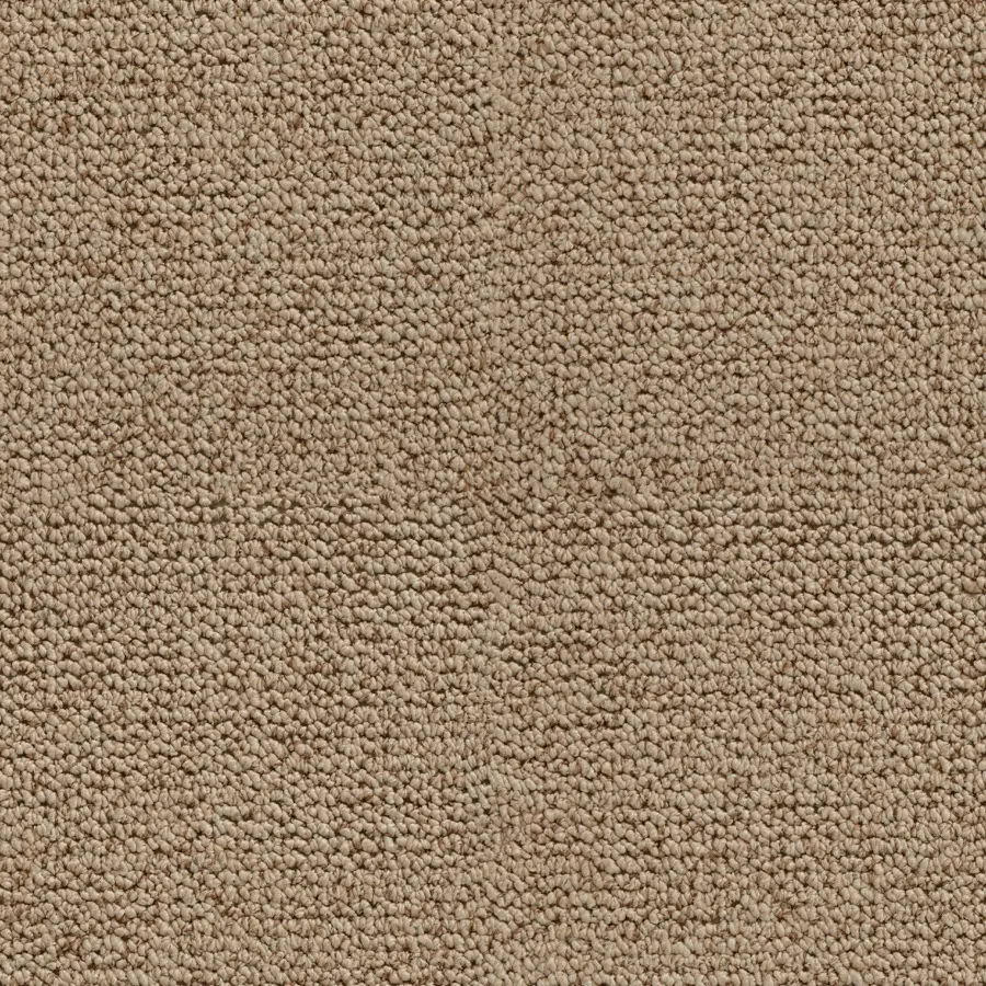 Merino - Image 7