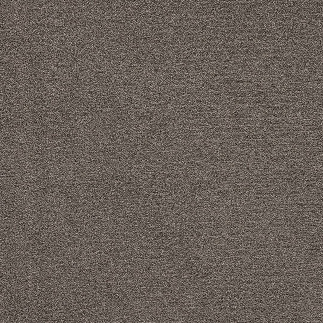 Arabica - Image 4