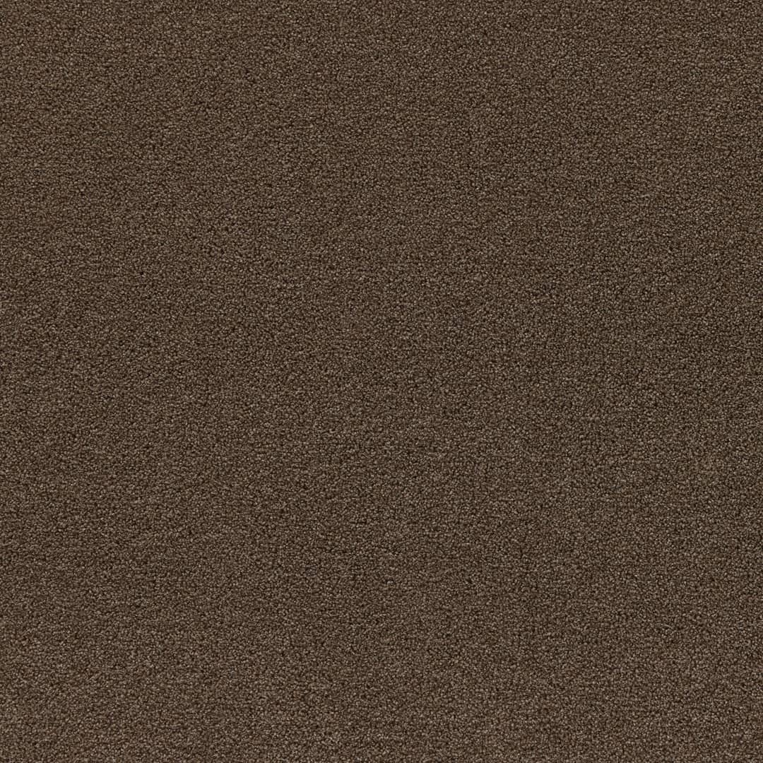 Arabica - Image 3