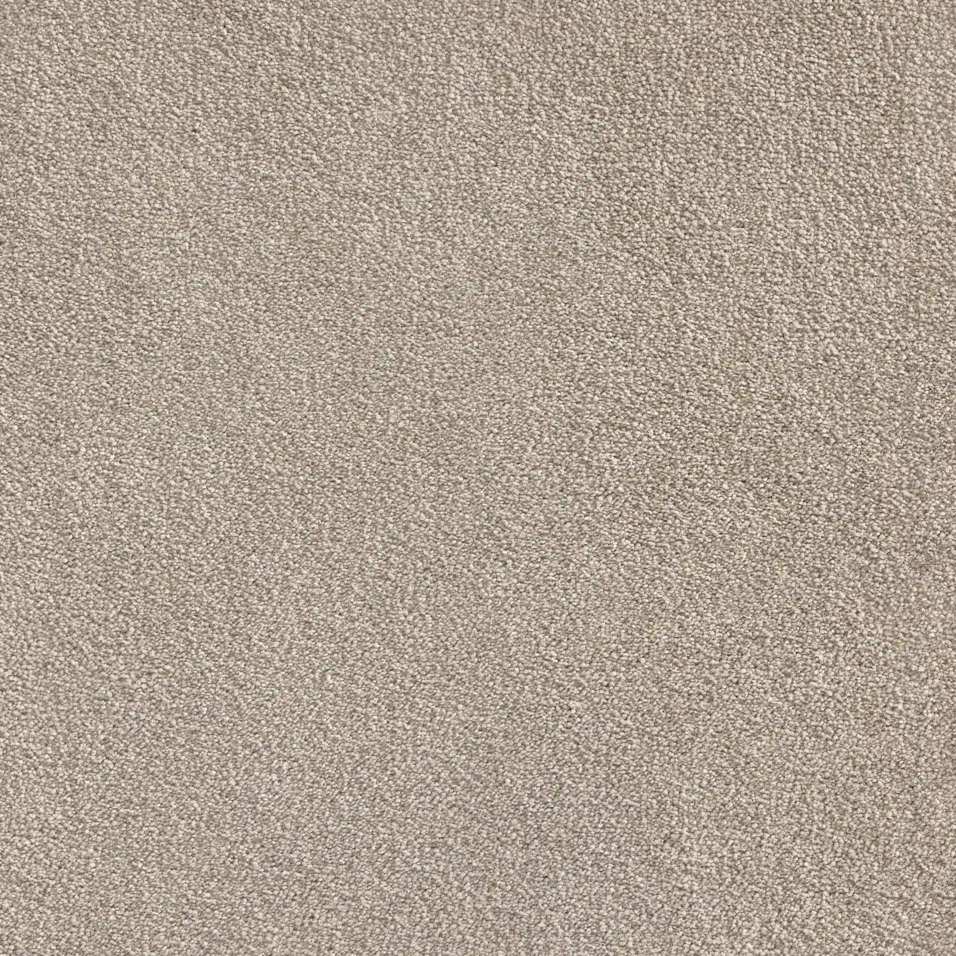 Softology Lite - Image 3