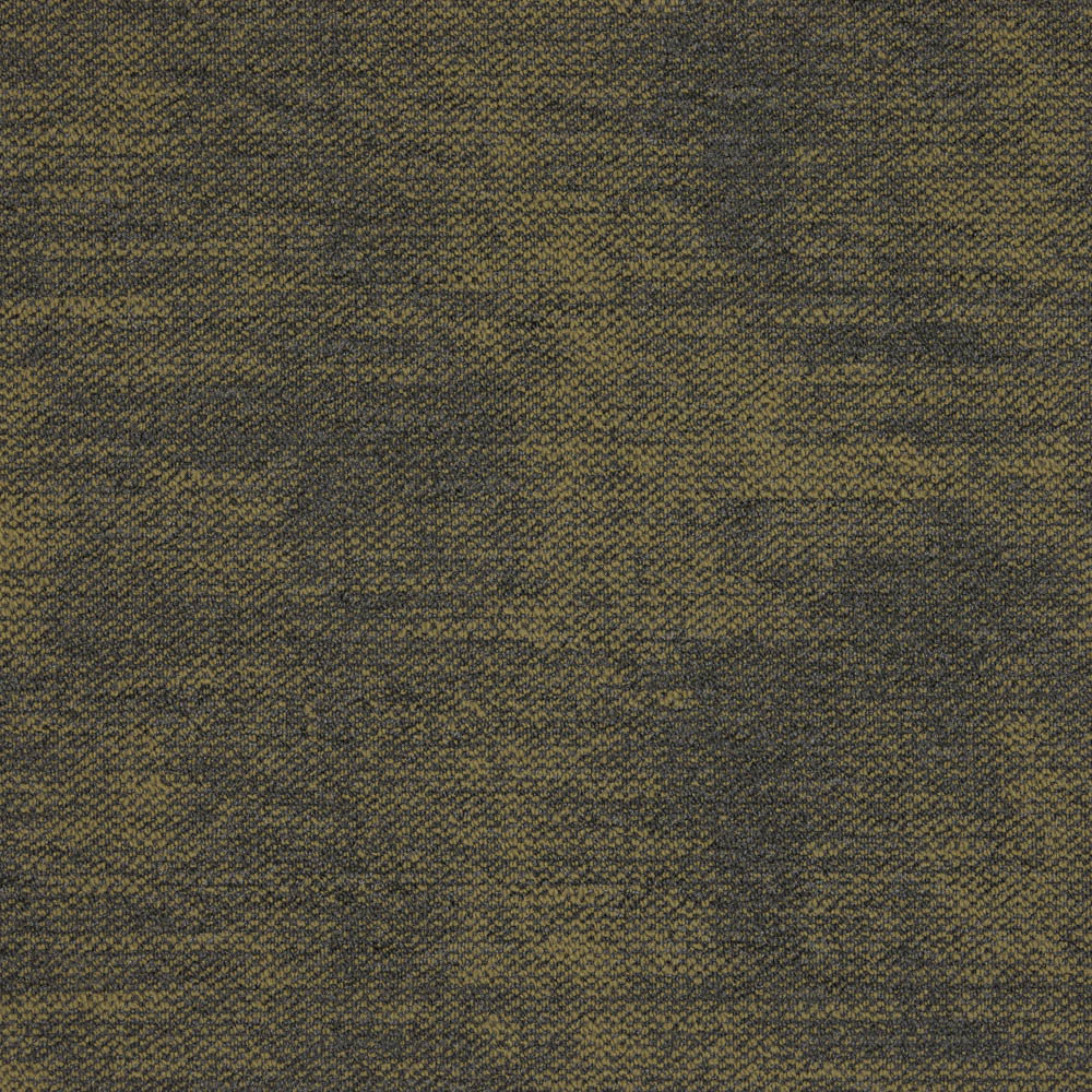 Accelerate - Pivot - Image 14