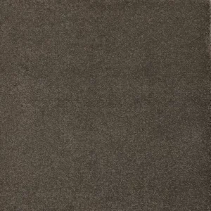 Sensology Aural