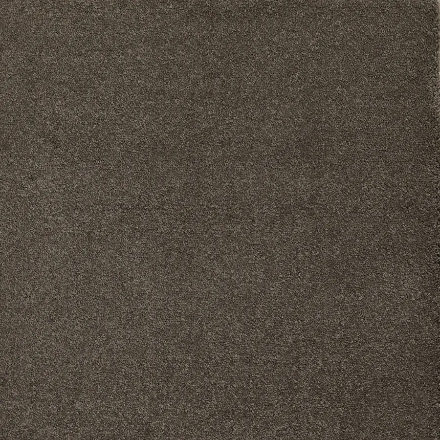 Sensology Aural